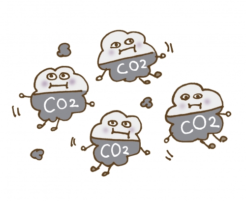 copy_co2emission.jpg