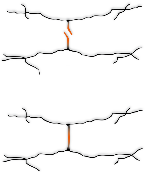 ゴムの再生脱硫技術 Devalcanization