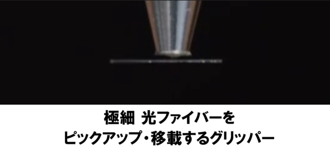 ヤモリの足の吸着原理を生体模倣！分子間力で吸着！電気もエアも不要！
